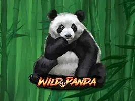 แพนด้าป่าไผ่ game screenshot