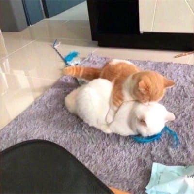 สุริยะ จึงรุ่งเรืองกิจ avatar